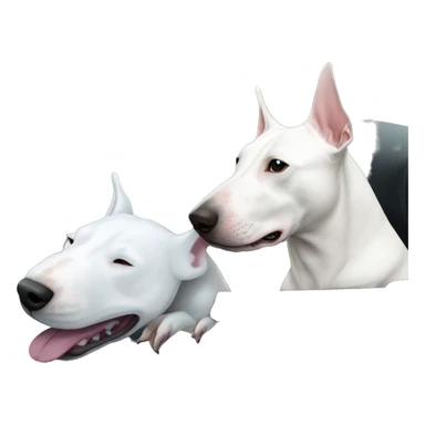 White Bull terrier and blue C6 Corvette  sticker