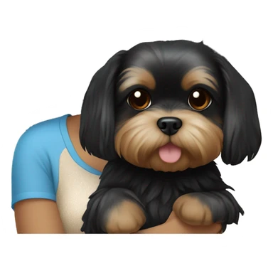 Black hair Chinese girl wearing blue and holding a Yorkie Shih Tzu puppy that is black and beige￼ sticker