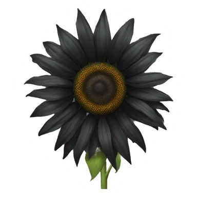 Black sunflower sticker