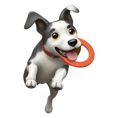 Dog catching frisbee sticker