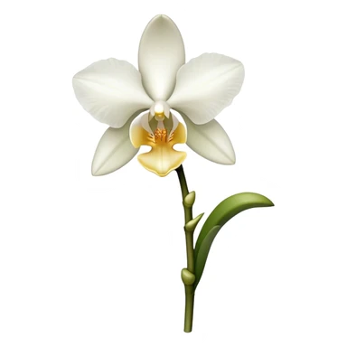single white Dendrobium Orchid straight stem sticker