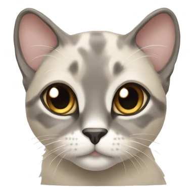 Gray-beige lop-eared cat sticker