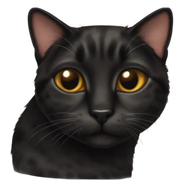 Tortie black cat sticker