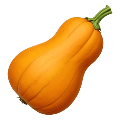 butternut suqash sticker