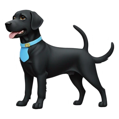 one labrador on the left black, smaller size. Another labrador on left black with a light blue collar. dog on right with red collar. sticker