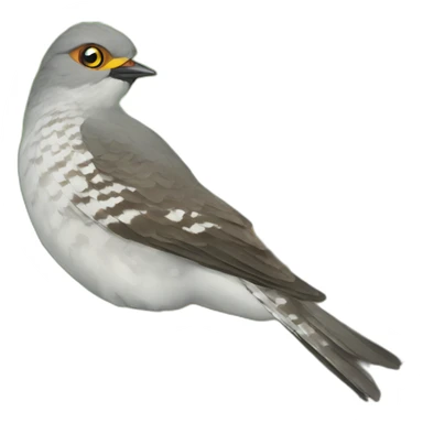 loughing cuckoo sticker