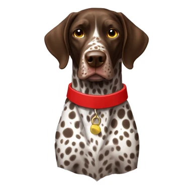 Brown spotted German short haired pointer  with ticking with red collar  sticker