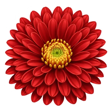 chrysanthemum flower full red sticker