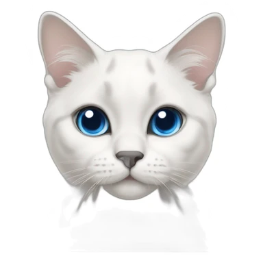 White scottish lop-eared cat with gray face nose and gray ears, blue eyes sticker