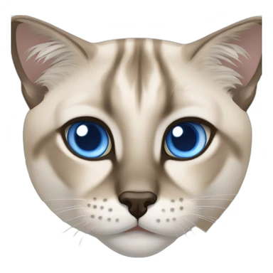 lynx-point-siamese-cat-blue-eyes sticker