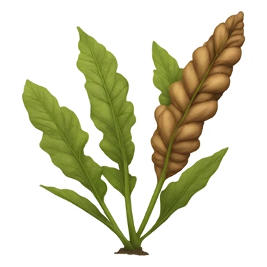 brown tobacco plant sticker