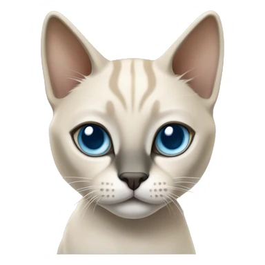 Thai breed cat with a light cream-brown body, dark gray nose and face, ears, and paws. sharp ears, and striking light blue eyes  sticker