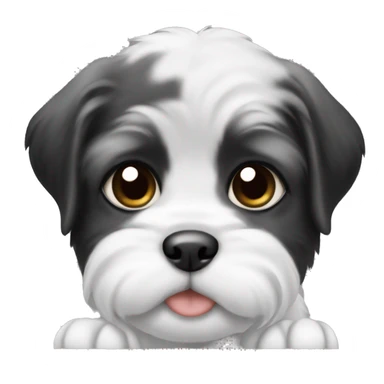 White and black shitzu puppy sticker