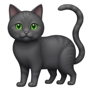 full body gorgeous solid dark grey cat with green eyes, white paws and white whiskers playing sticker