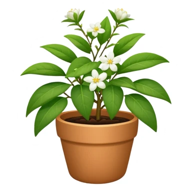 jasmine plant in pot sticker
