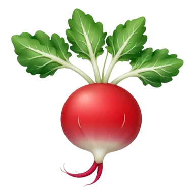 smaller radish UK plant with a bit of white on the bottom of the radish sticker
