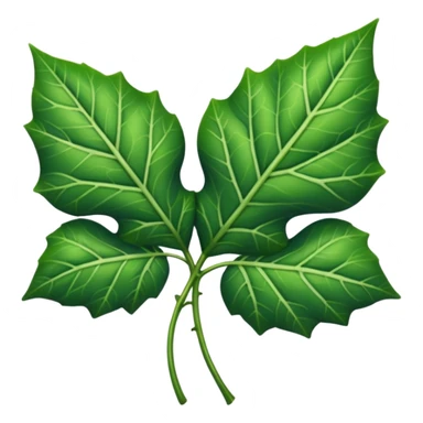 Ivy leaf  sticker