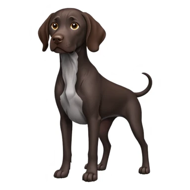 black German shorthair pointer dog sitting sticker