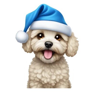 Maltipoo with a blue santa hat sticker