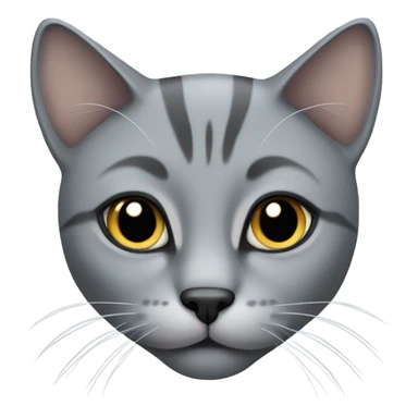 grey cat with black nose sticker