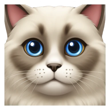 Long, chubby, cute, flat beige fur, blue round eyes, round pupils, Siamese and ragdoll mix cat, a grey face pattern, fur in his ears, wearing a red ribbon, darker paws sticker