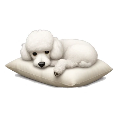 White cute small poodle sleeps on a pillow  sticker
