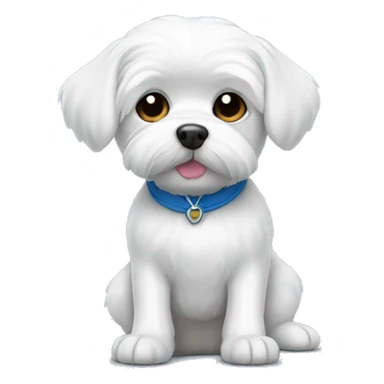 White dog Maltese in blue T-shirt  sticker