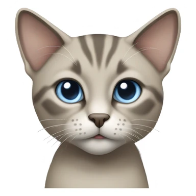 Thai breed cat with a light cream-brown body, dark gray face, ears, and paws. Short fur, sharp ears, and striking light blue eyes with an intense gaze. sticker