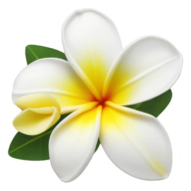 White and yellow frangipani flower sticker