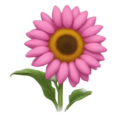 Girasol rosa sticker
