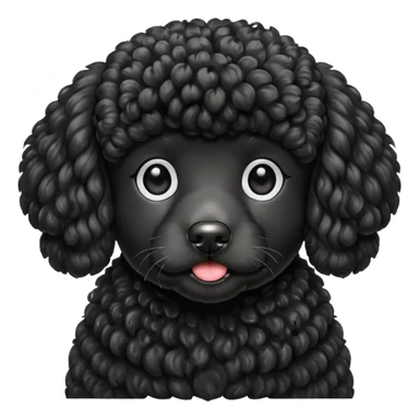 Large black poodle sticker