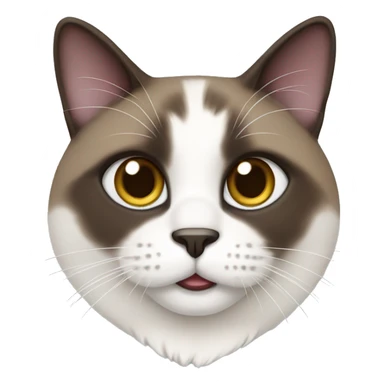 snowshoe cat sticker