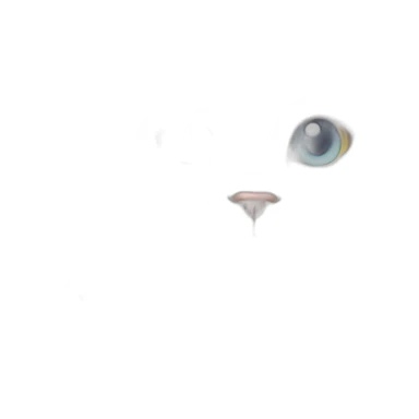 white fluffy cat with heterochromia sticker