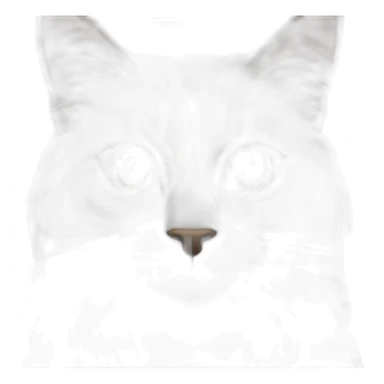 Siamese cat with white Maine coon sticker