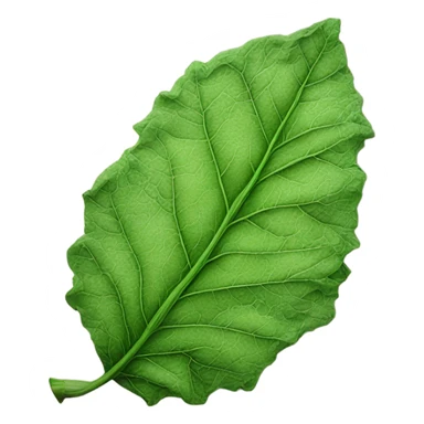 Tobacco leaf sticker