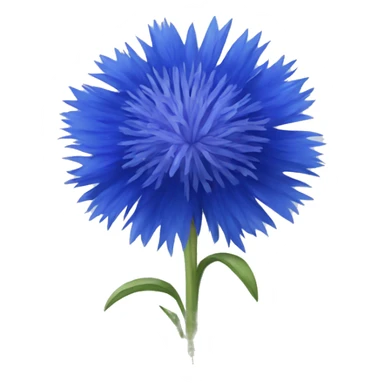 blue cornflower sticker