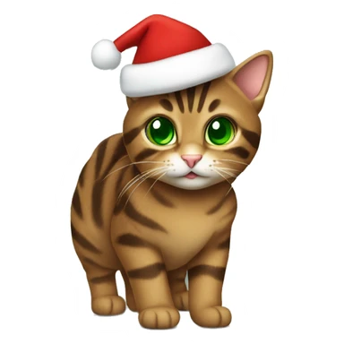 Brown tabby cat with green eyes wearing Christmas hat sticker