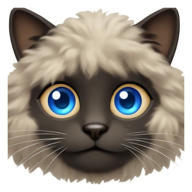 fluffy black and brown cat with blue eyes  sticker