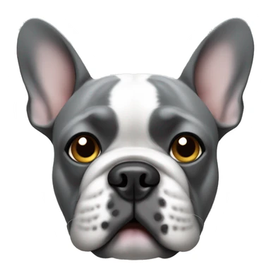 Grey French bulldogs face  sticker