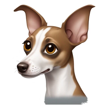 Brown and white chihuahuaItalian greyhound sticker