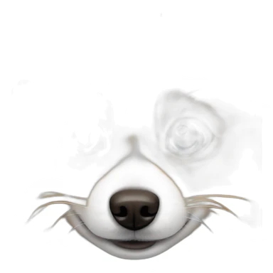 Pomeranian whit blue eyes and White fur with orange sticker