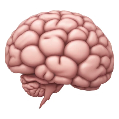 brain in foetus sticker