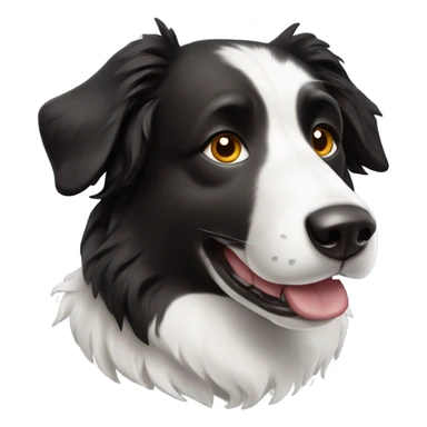 Border collie dog sticker