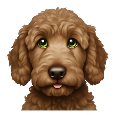 Darker brown goldendoodle puppy with green eyes sticker
