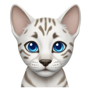 Snow bengal with Blue eyes  sticker