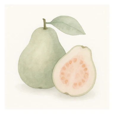 guava fruit in watercolor style, soft edges, gentle color blending, white background sticker