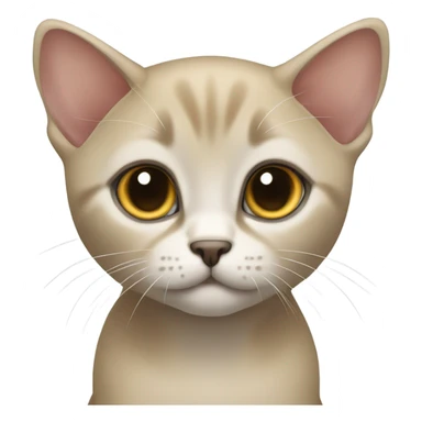 Burmese kitten sticker