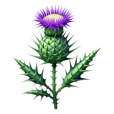 milk thistle sticker