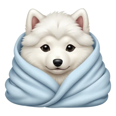 Samoyed puppy cozy in blanket sticker