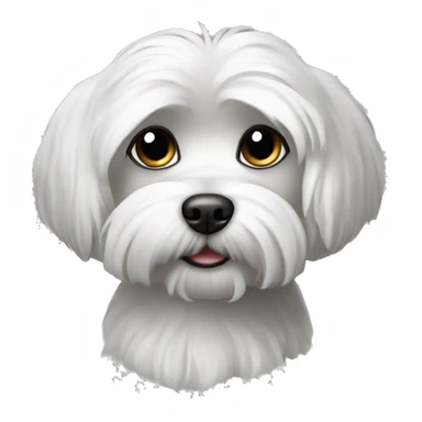 black and white maltese dog sticker